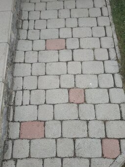 Zámková dlažba - 4