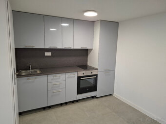 Samostatné bývanie - 1 izb byt Zlaté piesky s pozemkom 250m2 - 4