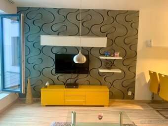 Prenajmem 1 izbový apartmán vedľa Veľkého Draždiaka - 4