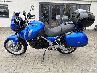 Triumph Tiger 955i - 4