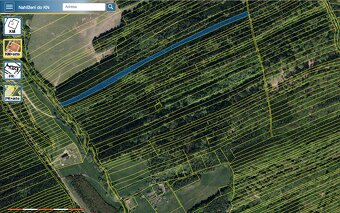 Prodej lesů o rozloze 12 421 m² katastr Šanov - 4