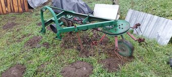 Hrabačka  obracacka - 4