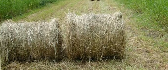 Lúčne seno - 4