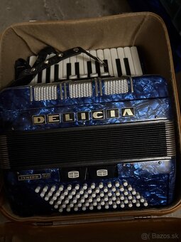 Delicia junior 13 1988 - 4