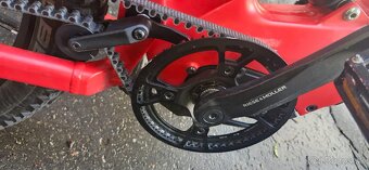 Riese & Müller Delite Rohloff 2020 elektrobicikel - 4