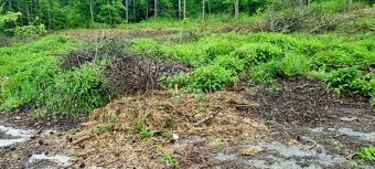 Predaj investičného pozemku v rekreačnej oblasti Kováčová. - 4