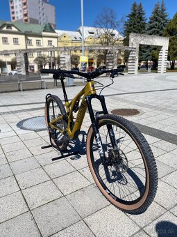 Specialized Stumpjumper EVO Comp Carbon - 4