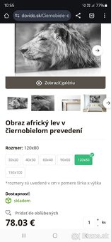 Velky obraz lev - 4