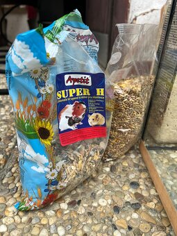 Akvárium pre škrečkov - 4