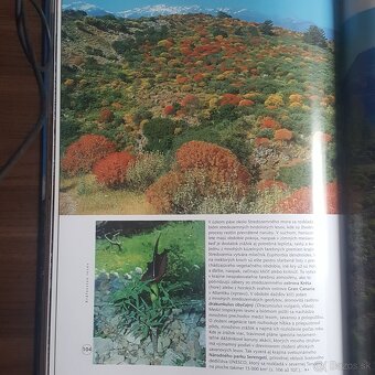 Prírodné divy sveta - 4