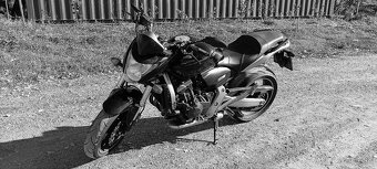 Honda Hornet 600 - 4
