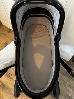 Egg2 Jurassic black-gold - 4