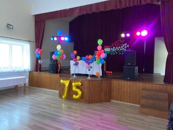 Ozvucenie-svetla-Dj - 4