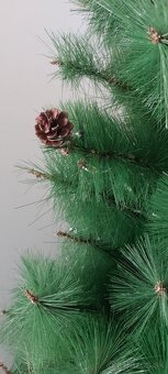 Vianočný stromček borovica - 4