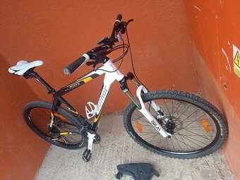 -----AUTHOR------ - 4