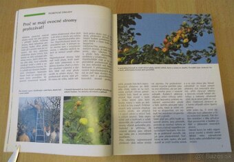 Řez, tvarování a roubování ovocných stromu - 4