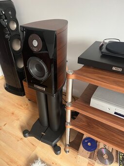 Predam usher dancer mini x - 4