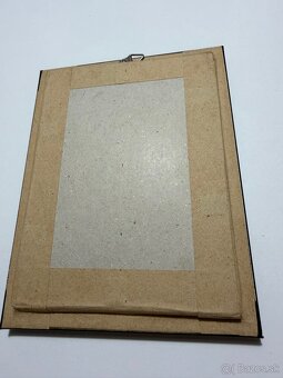 Predam vypreparovaneho škorpiona - 4