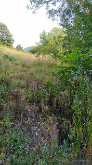 STAVEBNÝ POZEMOK 2130 m2 PODKYLAVA + UPI - MYJAVA VOĽNÝ - 4