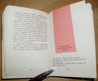 Liečivé rastliny a lesné plody - 4