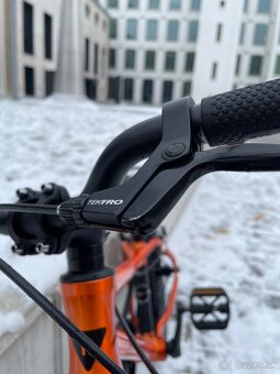 Rascal 16" flame - 4