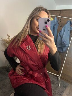 Vesta s brošňou - 4