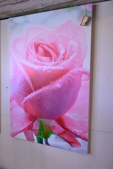 dekoracne obrazy a predmety - 4