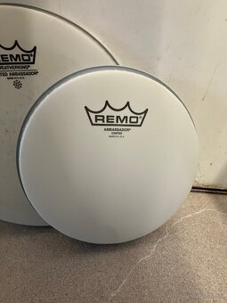 REMO Ambasador Coated +8” blana nová - 4