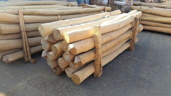 Agátové koly – odbelené, brúsené, jadrové drevo - 4