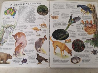 Detská ilustrovaná encyklopédia - predám - 4