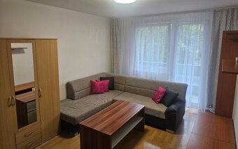 Prenajmem GARSÓNKU pri CENTRO NITRA - 4