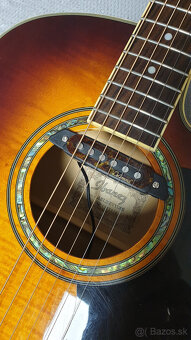 Elektroakustika Ibanez - 4