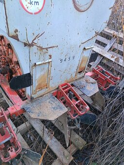 Predám sadzac cesky - 4