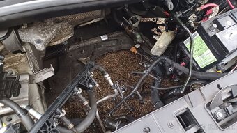 Renault Scenic 1.4i 96kw benzín diely - 4