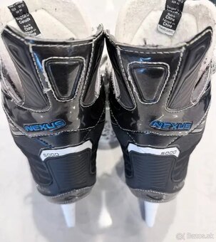 Korcule Bauer Nexus 5000 - 4