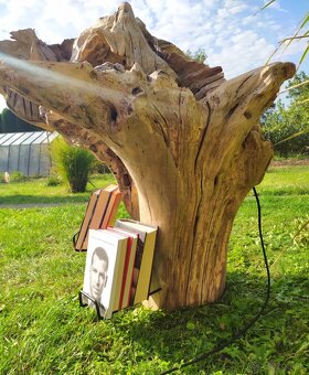 Sveťelní koreň - 4