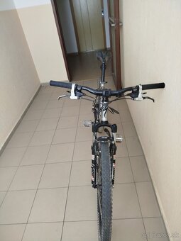 Predam Specialized HR - 4