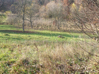 Predám stavebné pozemky v Hriňovej - 4