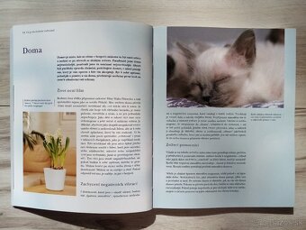 Duševní ochrana Jak stvořit pozitivní,obrannou ... - 4