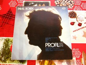 Predám platne českých a slovenských interprétov - 4