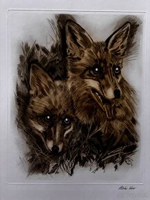 Ales Vaic - lesnicka tematiky - 4