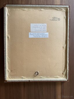 Brunovsky albín - 4
