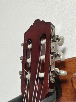 Gitara Ashton - 4