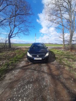 Peugeot 307 SW - 4