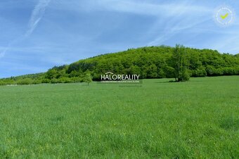 HALO reality - Predaj, rekreačný pozemok Ostrý Grúň - ZNÍŽEN - 4