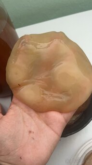 Predám kombucha SCOBY – domáci štartér na výrobu kombuchy - 4