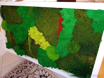 Machový obraz 90x50cm - 4