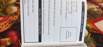 Predam šteniatko Akita inu - 4