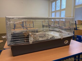 klietka pre zakrslého zajaca/morča - 4