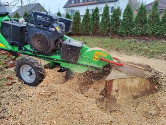 Frézovanie pňov,pňová fréza - 4